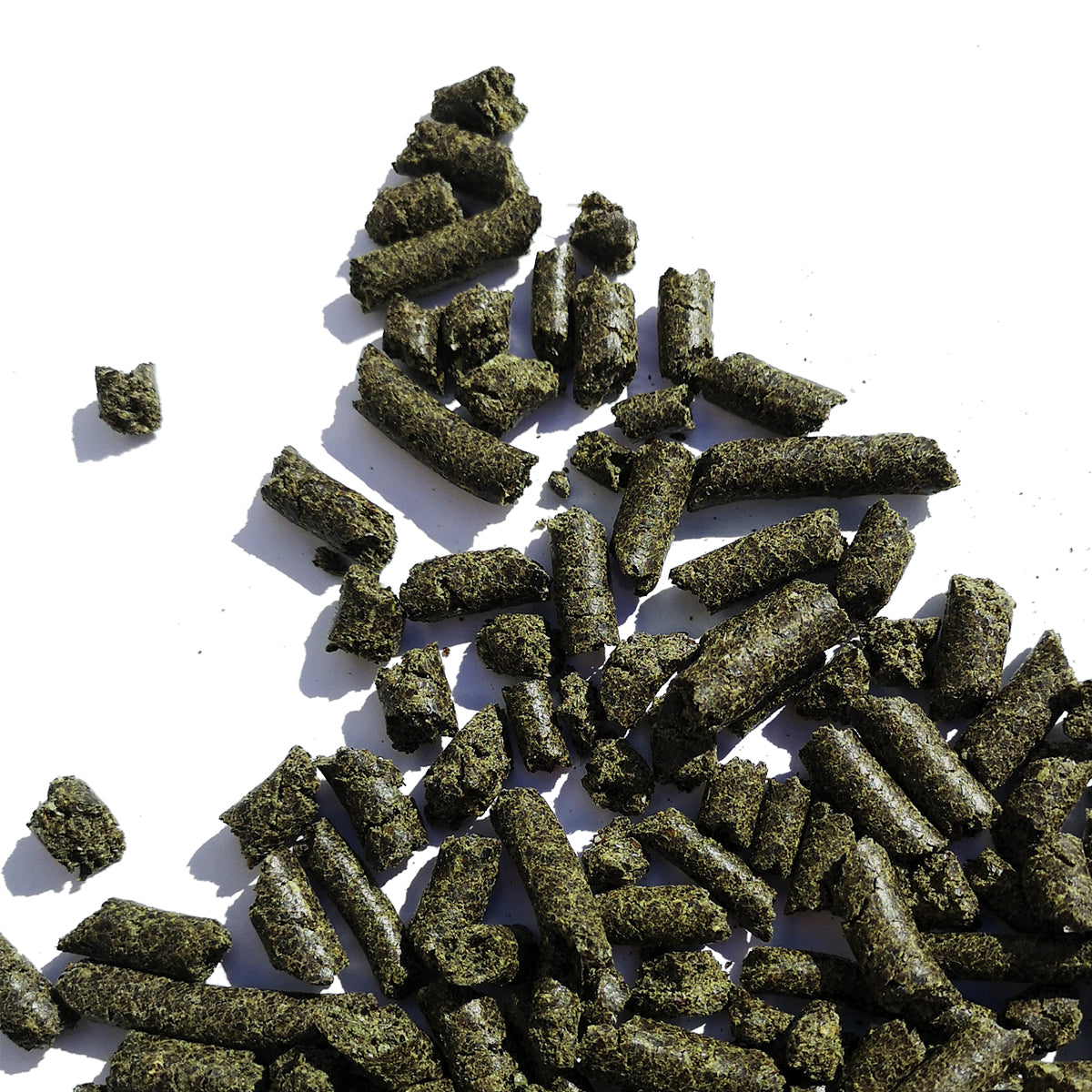 100% Hemp Seed Meal